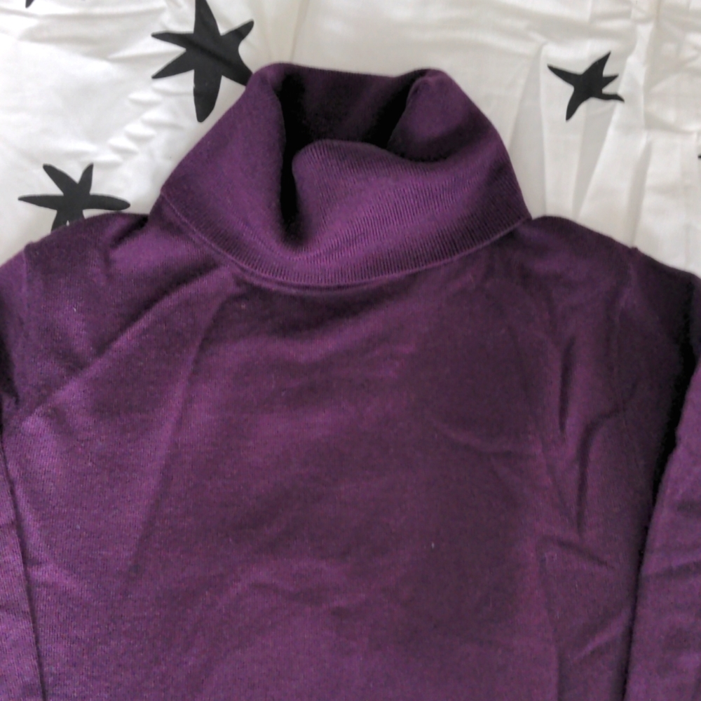 JCrew turtleneck